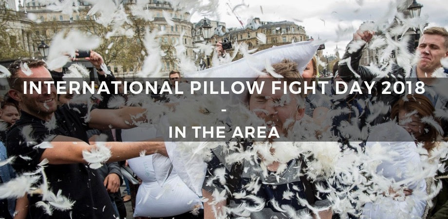 International Pillow Fight Day 2018 | In The Area